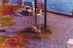 dock trashcan with bloody rags